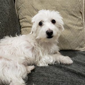 Meet your Posher, Katy